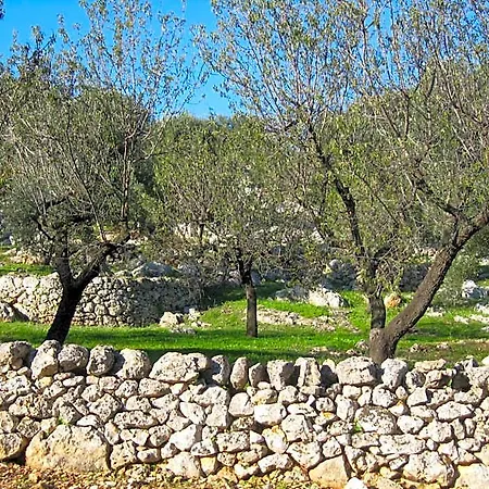 Trullo Dellorto מלון אוסטוני